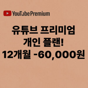 유튜브 프리미엄 개인플랜 1년 60,000원